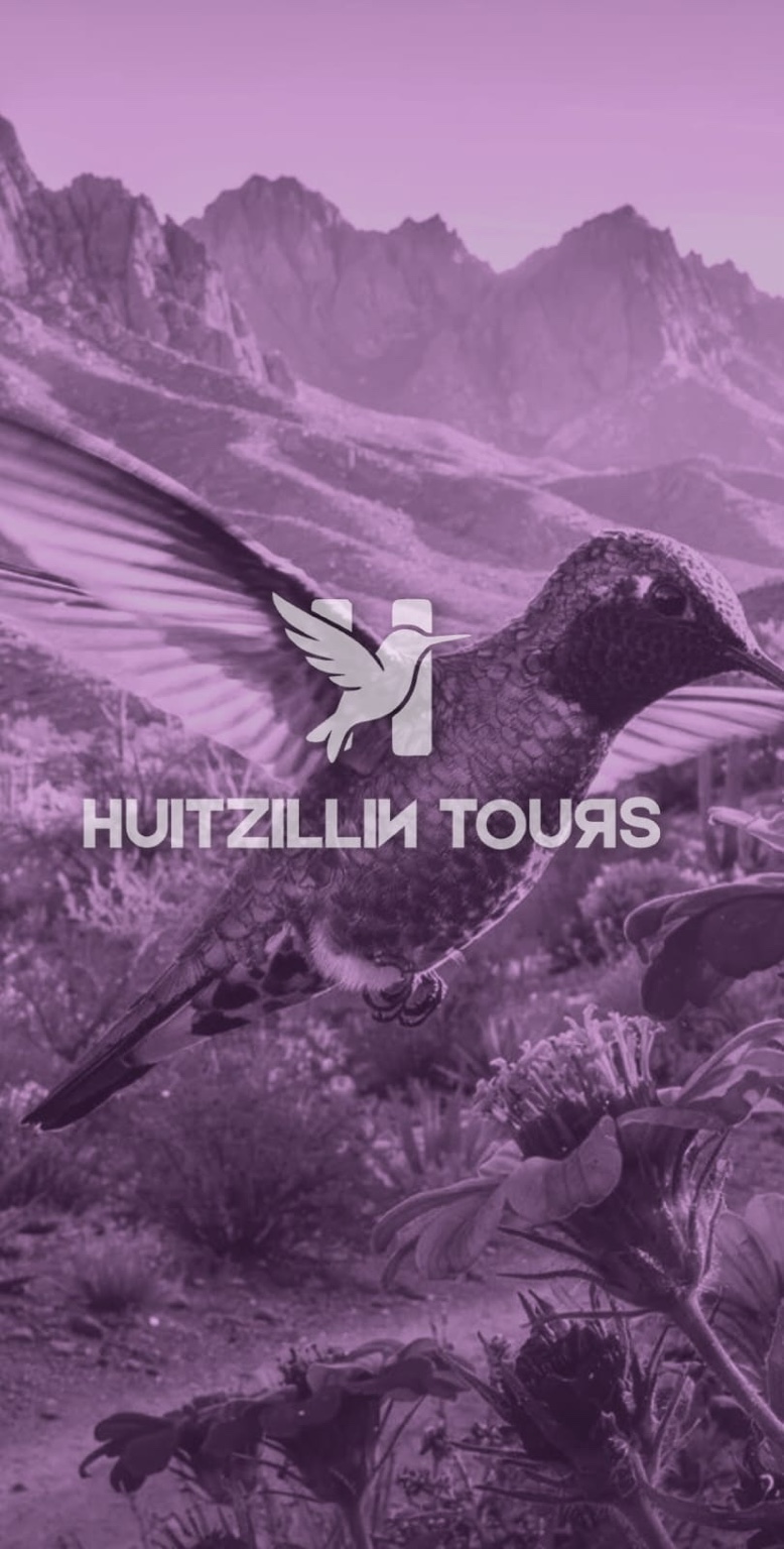 Logo Huitzillin Tours