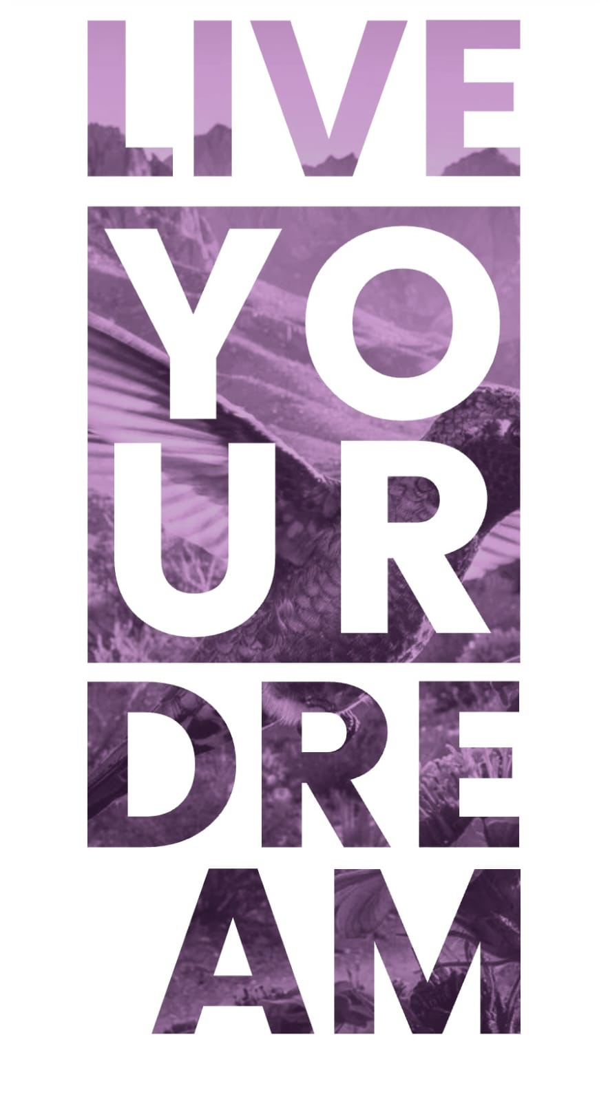 Diseño Live your dream basado en Huitzillin Tours